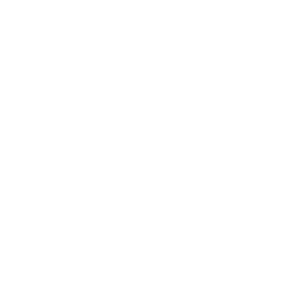 Lightbulb with radiating rays icon