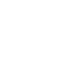 Pizza slice icon