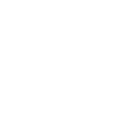 Umbrella and lounger icon